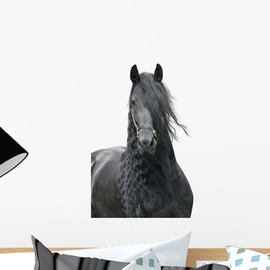 Friesian Stallion on a White Background Wall Decal