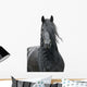 Friesian Stallion on a White Background Wall Decal