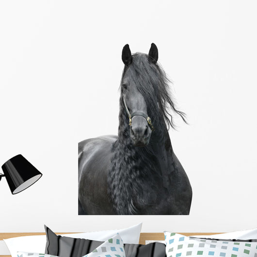 Friesian Stallion on a White Background Wall Decal