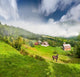 Beautiful Summer Landscape with