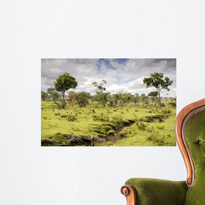 Kenya shown on a wall
