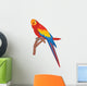 Parrot Wall Decal
