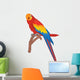 Parrot Wall Decal
