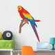 Parrot Wall Decal