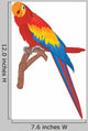 Parrot Wall Decal