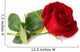 Red rose Wall Decal