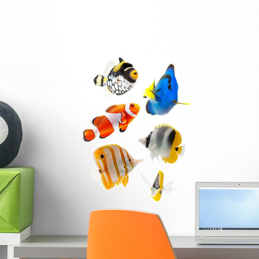 Real Reef Fish Wall Decal