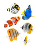 Real Reef Fish Wall Decal