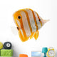 Marine Fish Beak Copperband Wall Decal