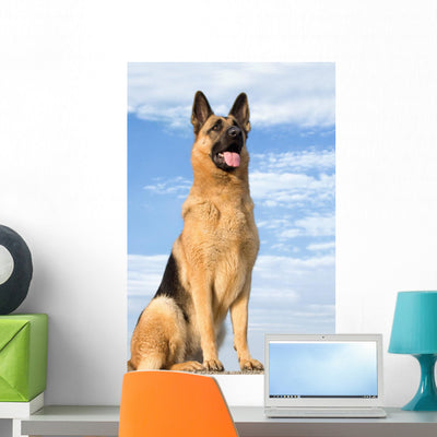 Shepherd 5 shown on a wall