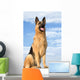 Shepherd 5