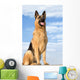 Shepherd 5