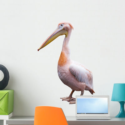 Pink Pelican Wall Decal shown on a wall