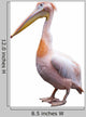 Pink Pelican Wall Decal