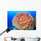 Hicksons Fan Coral Wall Mural