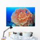 Hicksons Fan Coral Wall Mural