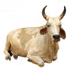 India - sacred cow (with india map) Wall Decal