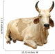 India - sacred cow (with india map) Wall Decal