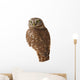 Burrowing Owl Wall Decal
