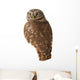 Burrowing Owl Wall Decal