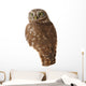 Burrowing Owl Wall Decal