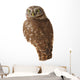 Burrowing Owl Wall Decal