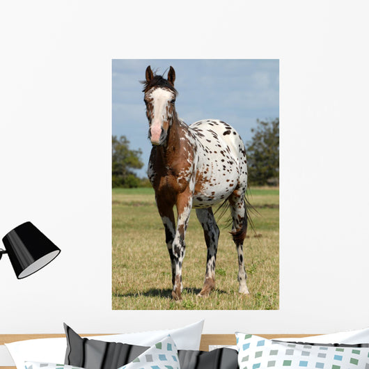 Body Painting Successful Wall Decal