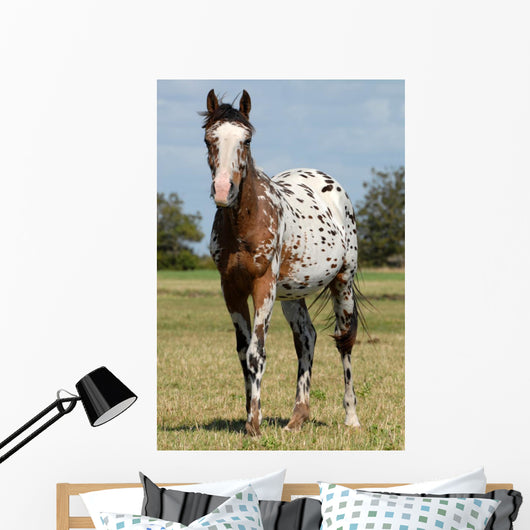 Body Painting Successful Wall Decal