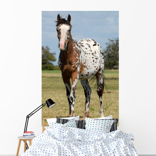 Body Painting Successful Wall Decal