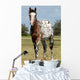 Body Painting Successful Wall Decal