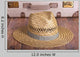 Sun Suitcase Old Antique