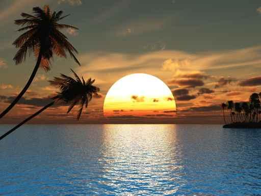 Palms Wall Decal