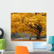 Beautiful Fall Color Tree Wall Mural