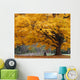 Beautiful Fall Color Tree Wall Mural