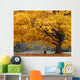 Beautiful Fall Color Tree Wall Mural