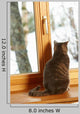 Cat Sitting On Window Ledge Looking At Snowy View Wall Mural