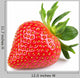 Fresh strawberry isolated on white background. Studio macro Wall Decal