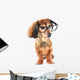 Smart dog Wall Decal