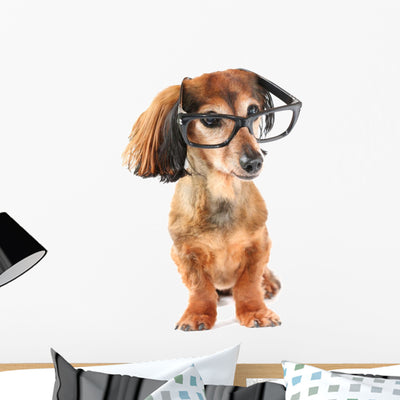 Smart Dog Wall Decal shown on a wall