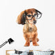 Smart dog Wall Decal
