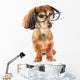 Smart dog Wall Decal