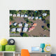 Brisbane Suburbs Flooding