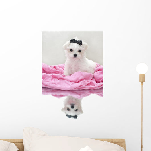Glamour Maltese Puppy Wall Decal