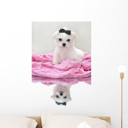 Glamour Maltese Puppy Wall Decal