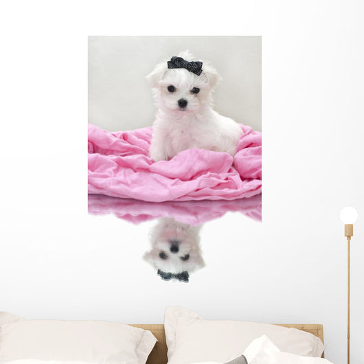 Glamour Maltese Puppy Wall Decal