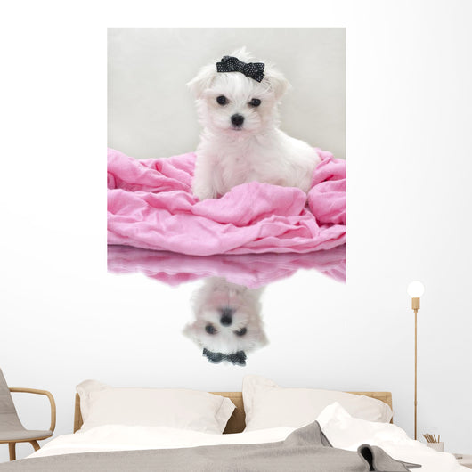 Glamour Maltese Puppy Wall Decal