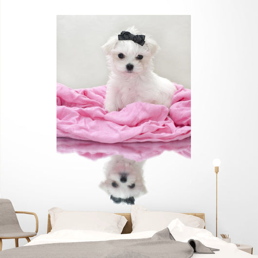 Glamour Maltese Puppy Wall Decal