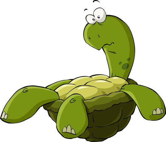 Turtle Wall Decal