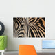 Zebra up