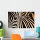 Zebra up